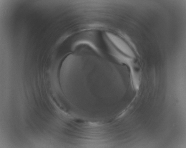 X0000081360154200702082329