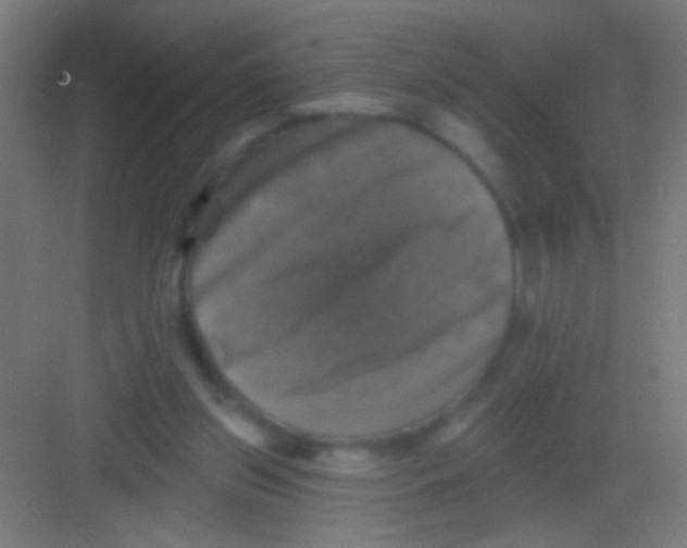X0000081360157200702082329