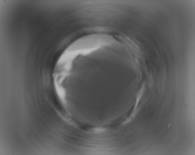 X0000081360158200702082329