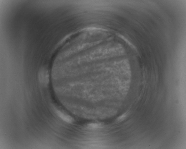 X0000081360160200702082329
