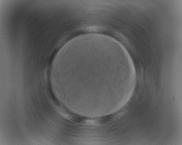 X0000081360167200702082329