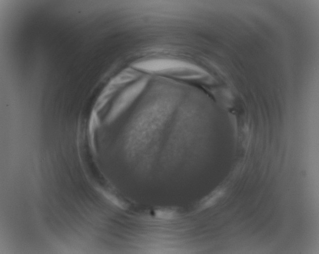 X0000081360168200702082329