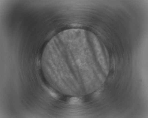 X0000081360176200702082330