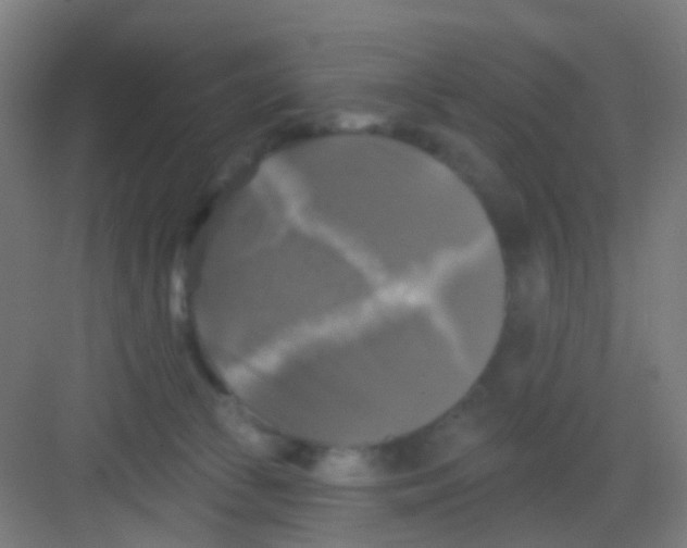 X0000081360177200702082330