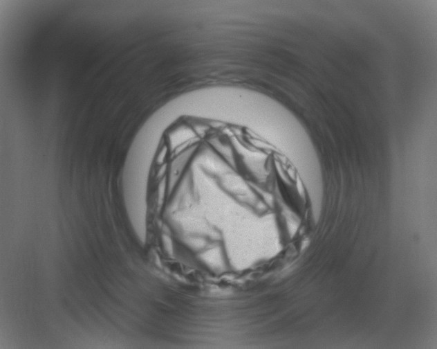 X0000081360180200702082330