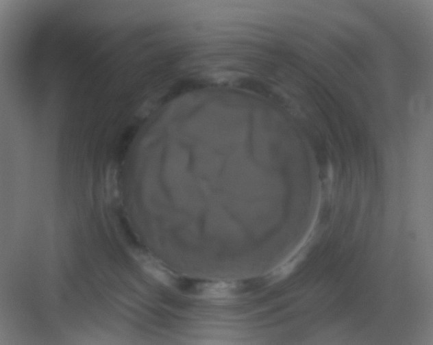 X0000081360182200702082330