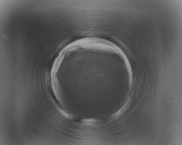 X0000081360192200702082330