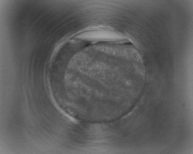 X0000081360193200702082329