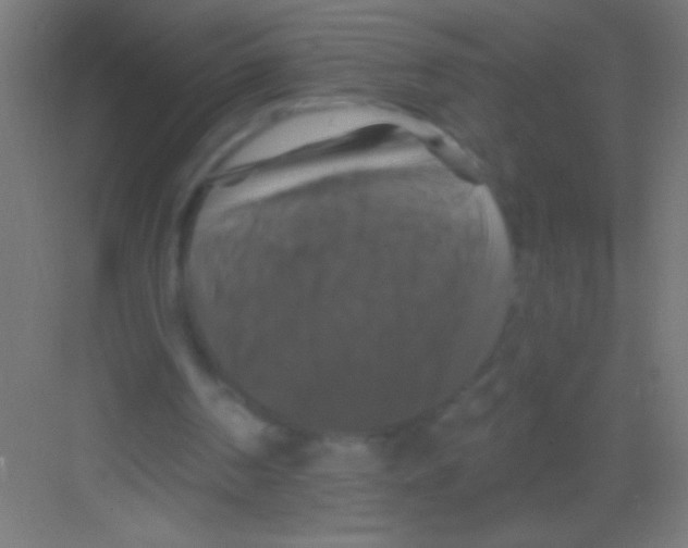 X0000081360194200702082329
