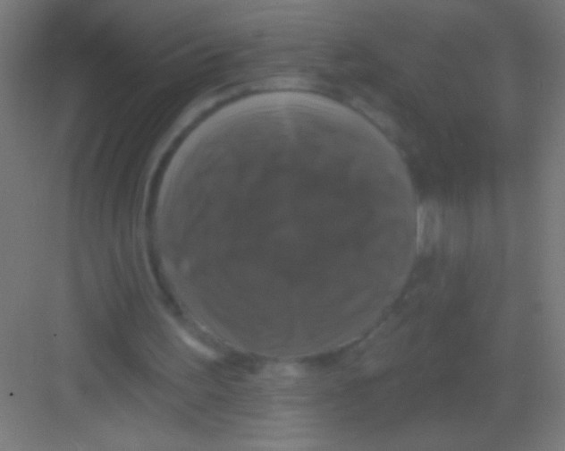 X0000081360195200702082329