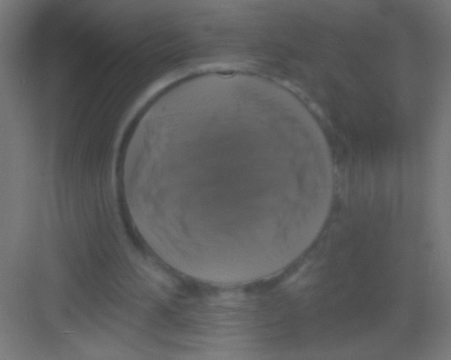 X0000081360196200702082329