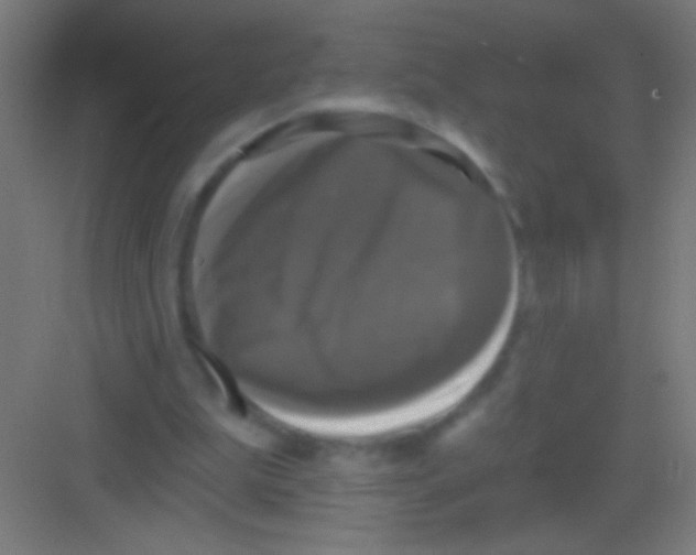 X0000081360199200702082329