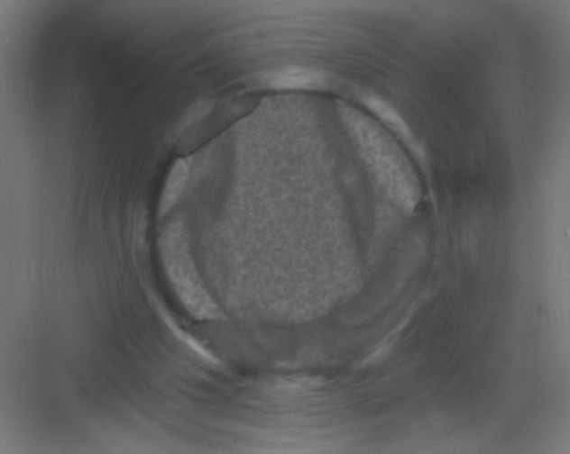 X0000081360201200702082329