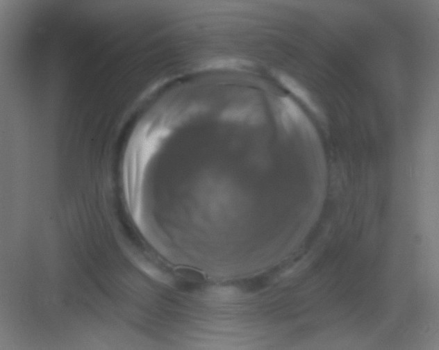 X0000081360203200702082329