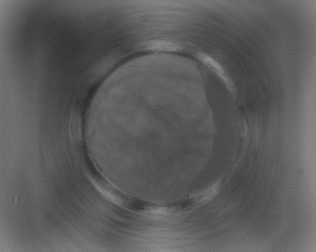 X0000081360205200702082329