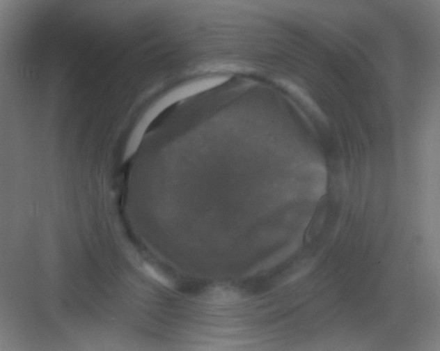 X0000081360207200702082329