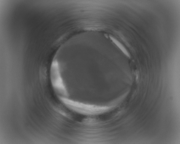 X0000081360211200702082329
