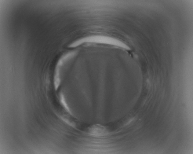 X0000081360215200702082329