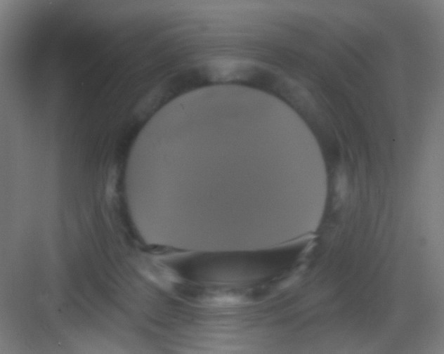 X0000081360219200702082329