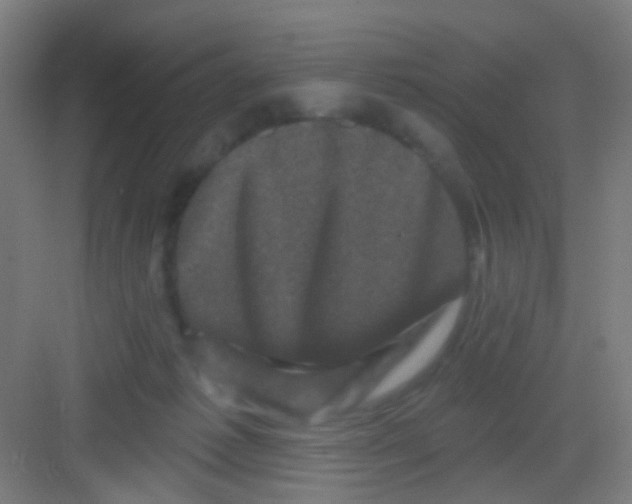X0000081360221200702082329