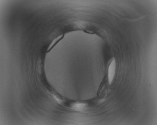 X0000081360223200702082329
