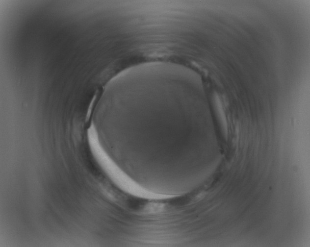 X0000081360227200702082328