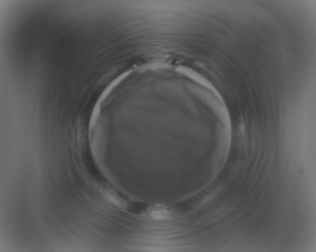 X0000081360228200702082328