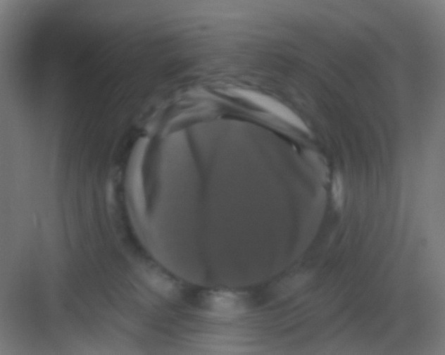 X0000081360229200702082328