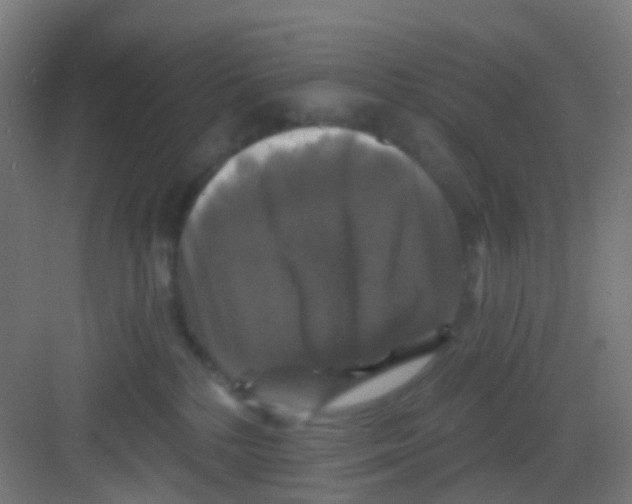 X0000081360232200702082328