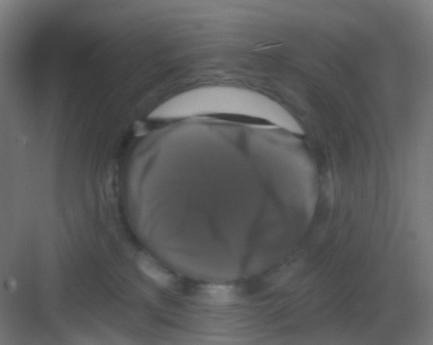 X0000081360233200702082328