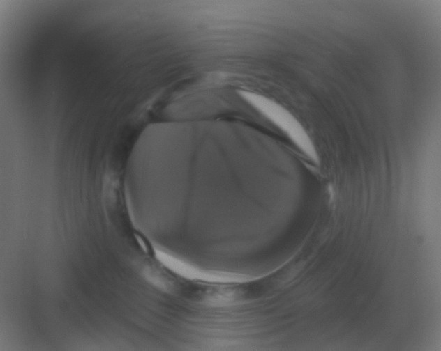 X0000081360235200702082328
