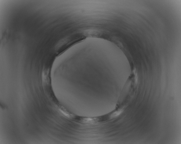 X0000081360239200702082328