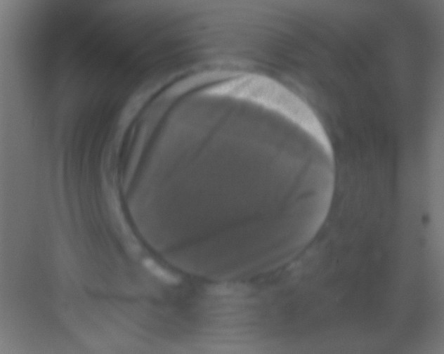 X0000081360241200702082327