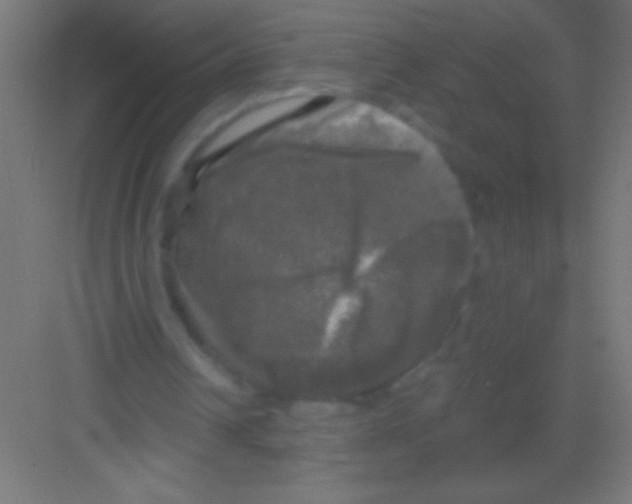 X0000081360242200702082327