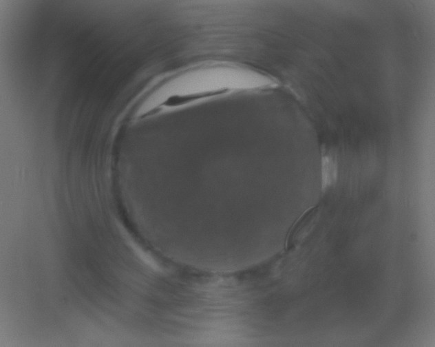 X0000081360243200702082327