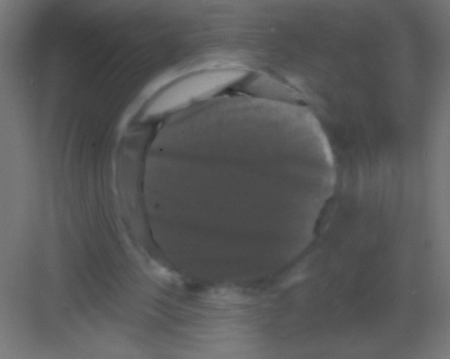 X0000081360244200702082327