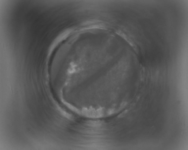 X0000081360245200702082327