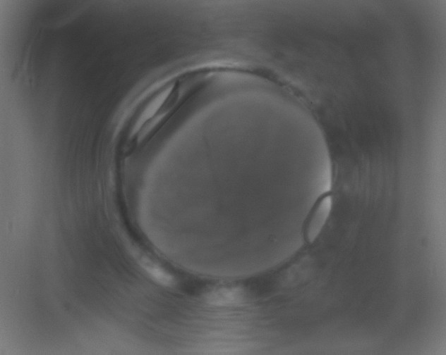 X0000081360247200702082328