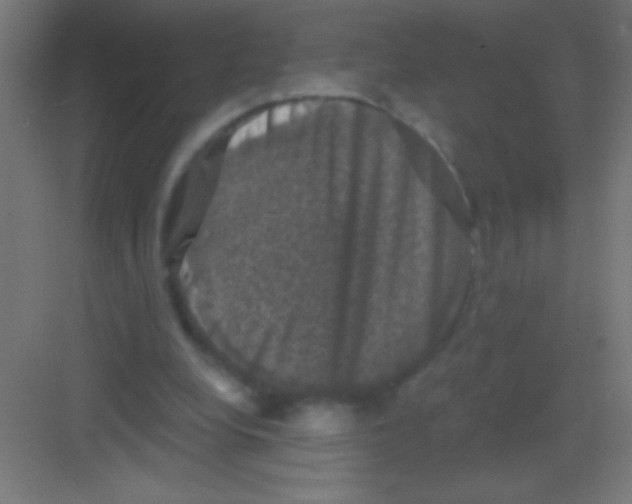 X0000081360248200702082328