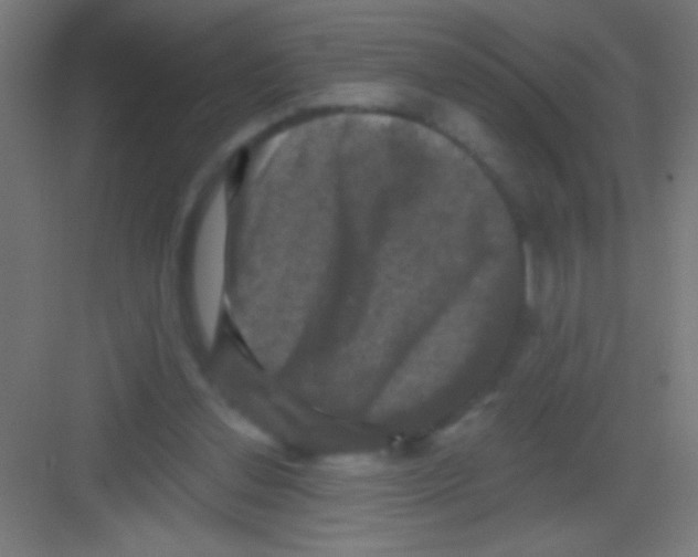 X0000081360252200702082328