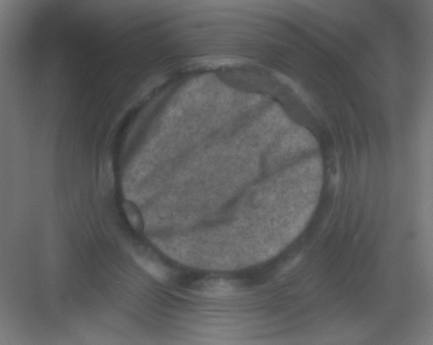 X0000081360254200702082328