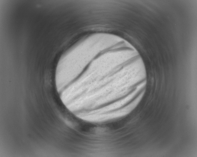 X0000081360255200702082328