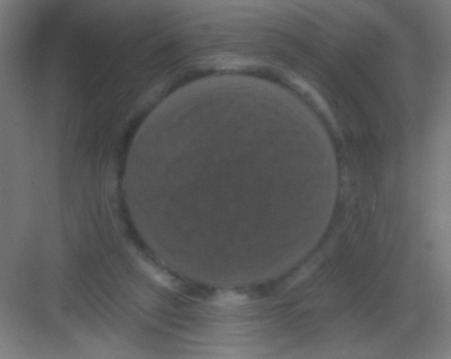 X0000081360257200702082328