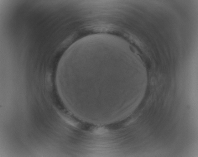 X0000081360258200702082328