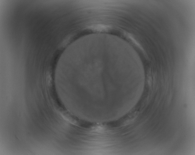 X0000081360259200702082328
