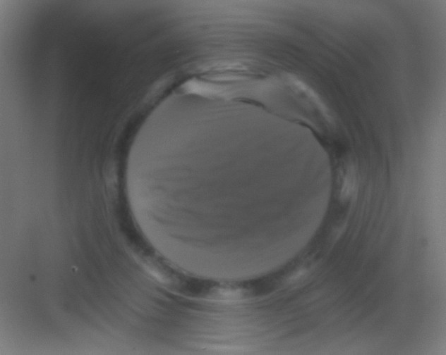 X0000081360260200702082328