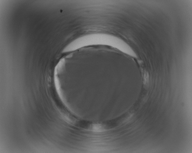 X0000081360264200702082328