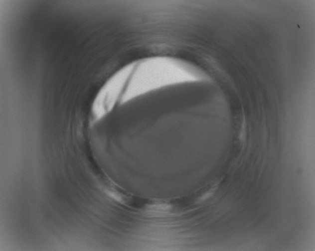 X0000081360266200702082328