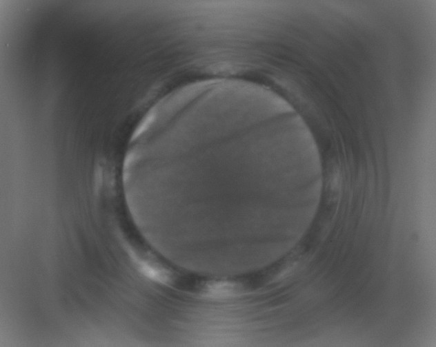 X0000081360268200702082328