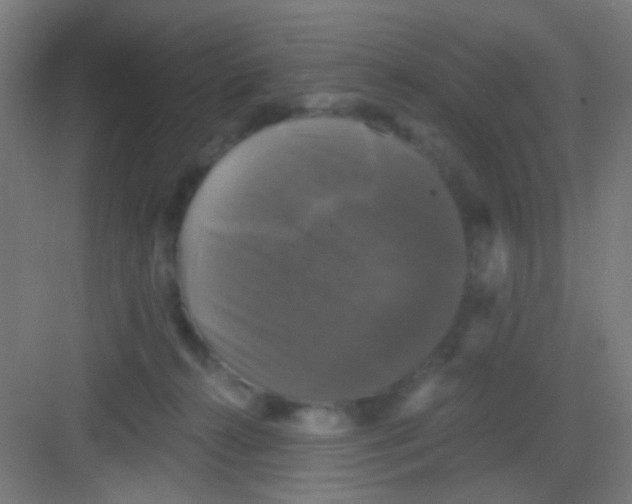 X0000081360272200702082328